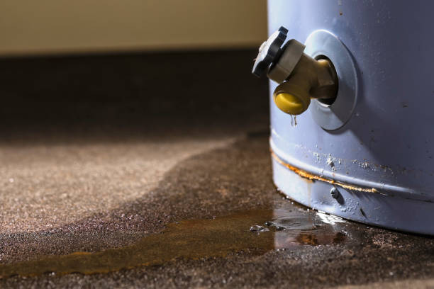 Best Flood restoration services  in Cadiz, OH