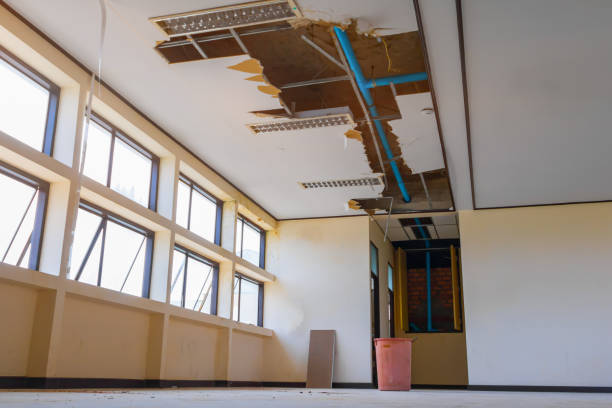 Best Flood damage cleanup  in Cadiz, OH