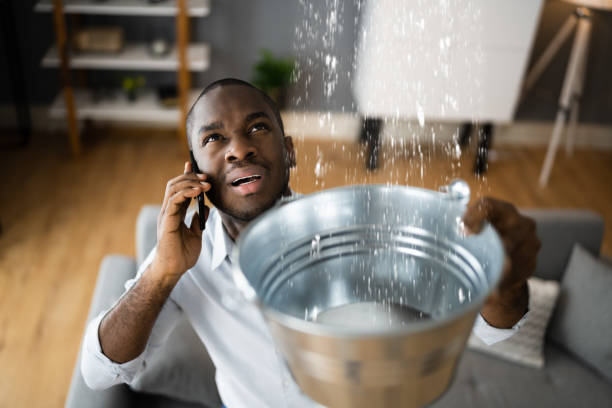 Best 24-hour water damage restoration  in Cadiz, OH