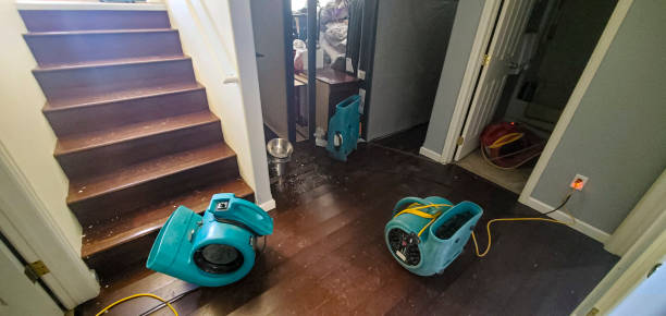 Best Flooded house restoration  in Cadiz, OH