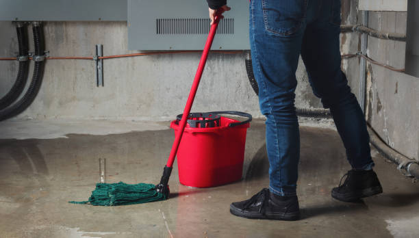 Best Emergency water damage restoration  in Cadiz, OH