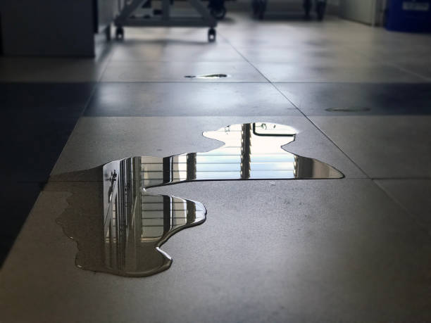 Best Local water damage restoration  in Cadiz, OH