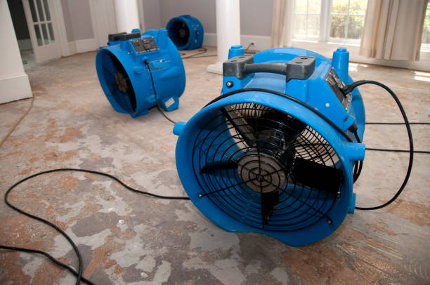  Cadiz, OH Water damage restoration Pros