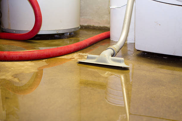 Best Water damage cleanup near me  in Cadiz, OH