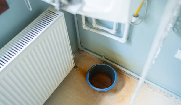 Best Sewage cleanup and water damage restoration  in Cadiz, OH