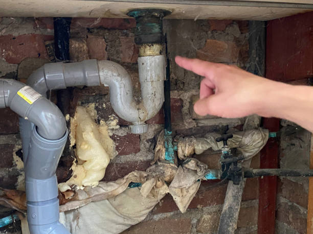 Best Residential water damage restoration  in Cadiz, OH
